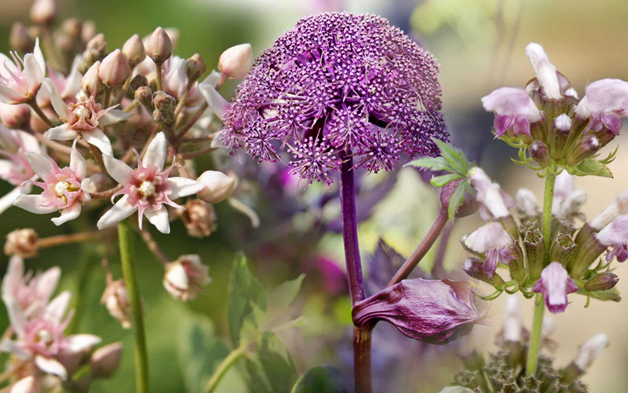 EstroG100 das perfekte Paar aus Forschung und Tradition