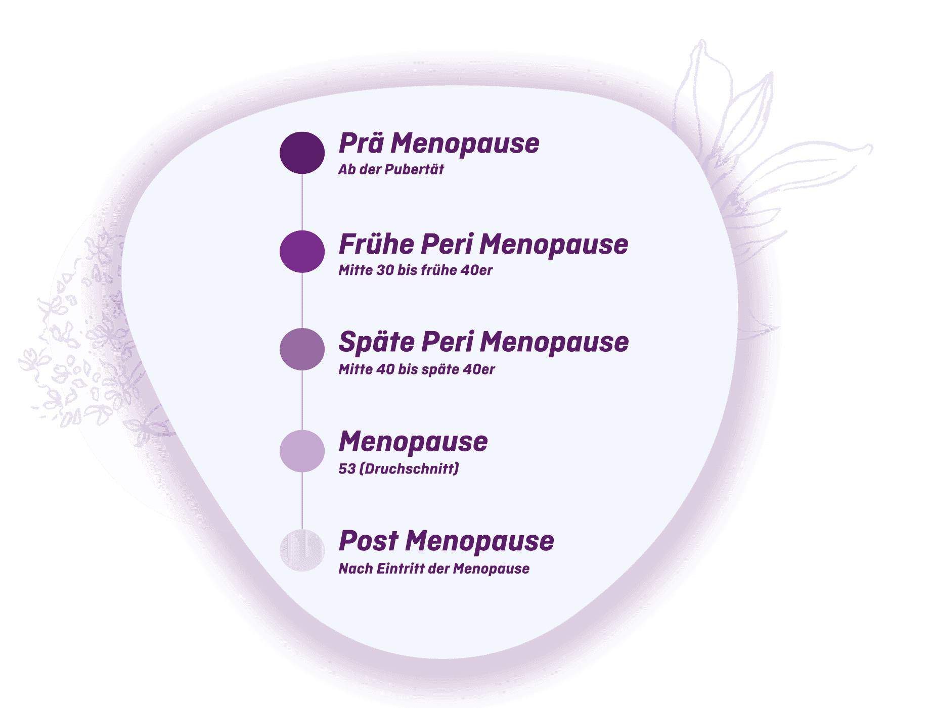 Phasen der Menopause