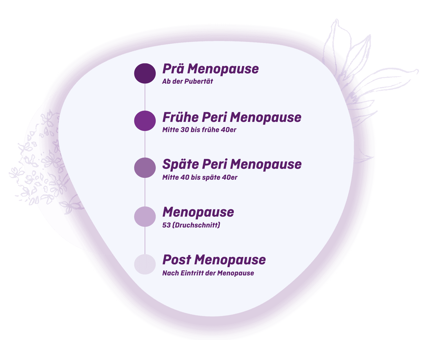 Concomitant menopause - overview of symptoms - menoelle