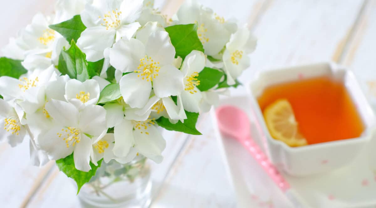 Blumen und Tee als stimmungsaufhellendes Mittel